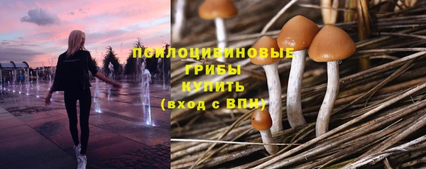 Альфа ПВП Балабаново