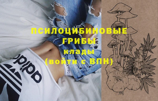 Альфа ПВП Балабаново